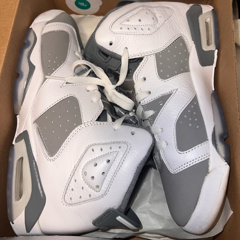 Air Jordan 6 “Cool Grey”
